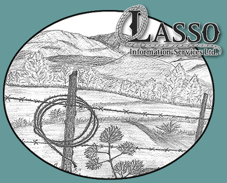 Lasso Information Services